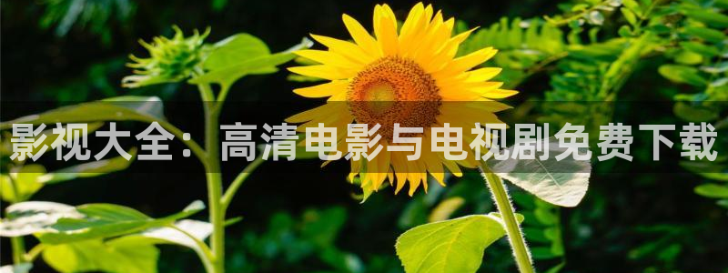金桔影视app：影视大全：高清电影与电视剧免费下载
