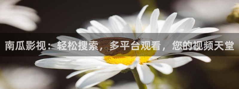 金桔视频免费下载：南瓜影视：轻松搜索，多平台观看，您的视频天堂